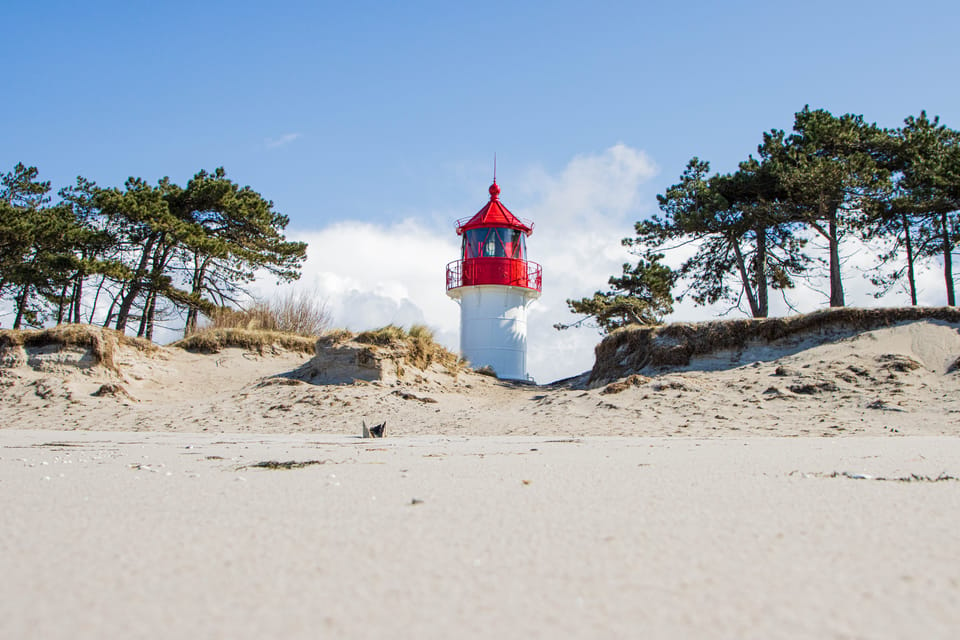 Boat Trip to the Island of Hiddensee From Zingst - Refreshments and Amenities