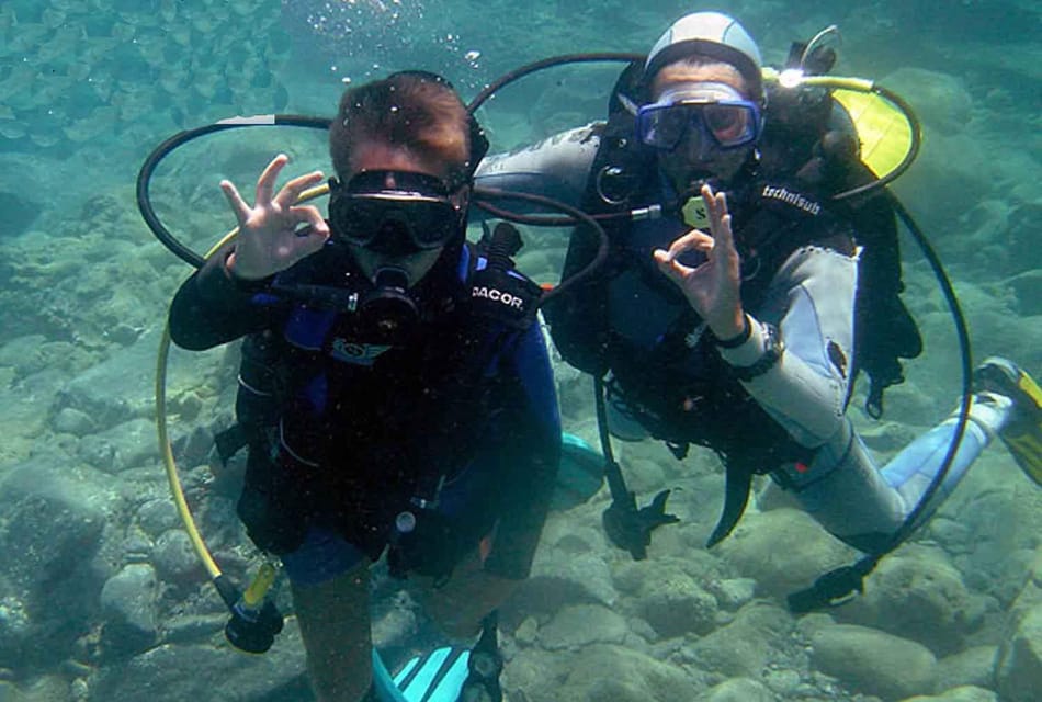 Bodrum Diving Day for Advanced and Beginner Divers - Daily Itinerary