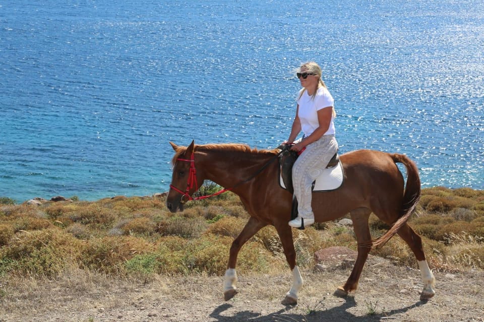 Bodrum Horse Riding With Final in the Sea - Company Background and Expertise