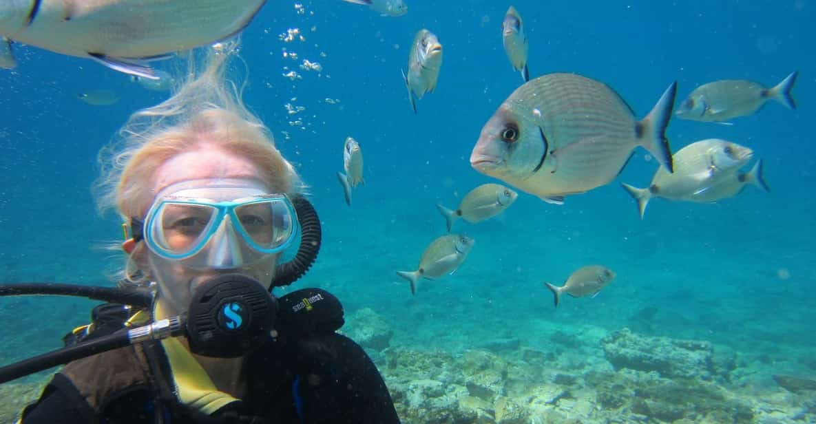 Bodrum: Scuba Diving Trip With Lunch - What to Expect During the Dive