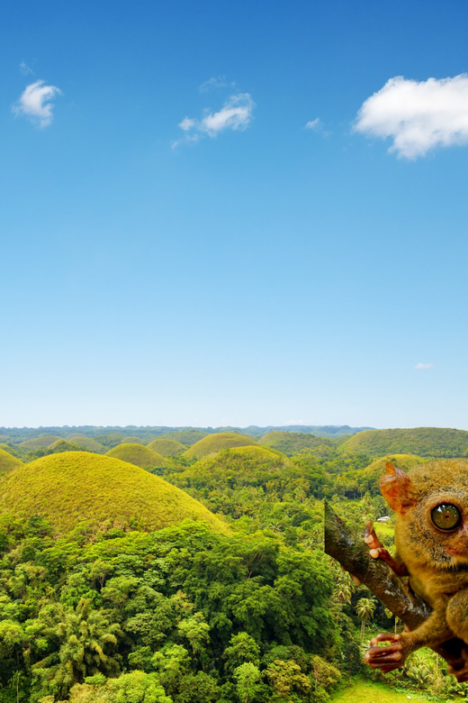 Bohol Countryside Day Tour W Lunch at Loboc River From Cebu - How to Book