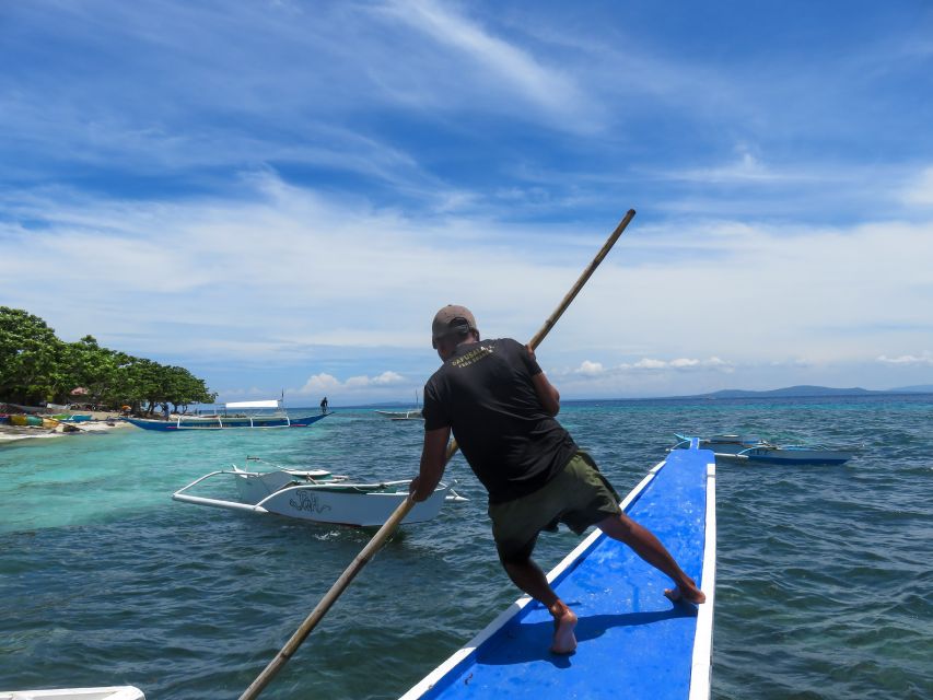 Bohol: Pamilacan Island Dolphin/Turtle Watching Tour & Lunch - Participant Suitability