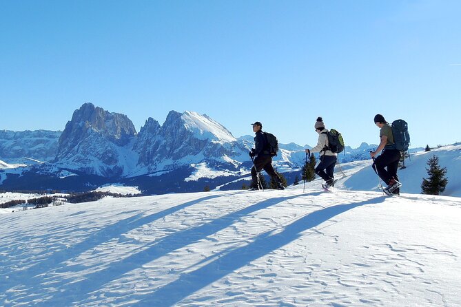 Bolzano Dolomites: Winter Hiking & Sledding Experience - Customer Reviews and Feedback