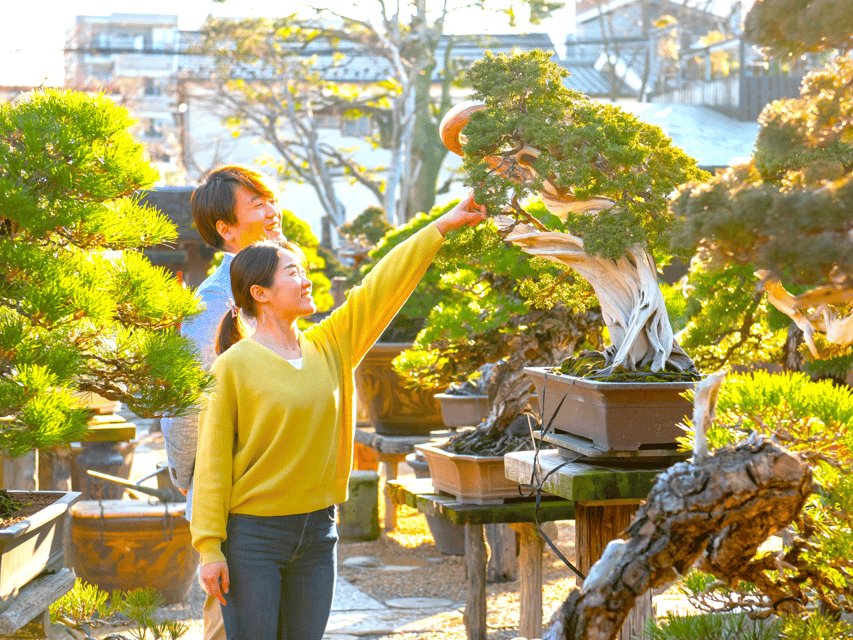 Bonsai City: Bonsai Tour & Experience at Bonsai Sanctuary - Accessibility and Restrictions