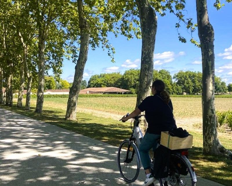 Bordeaux: St-Emilion Vineyards E-Bike Tour With Wine & Lunch - Customer Reviews