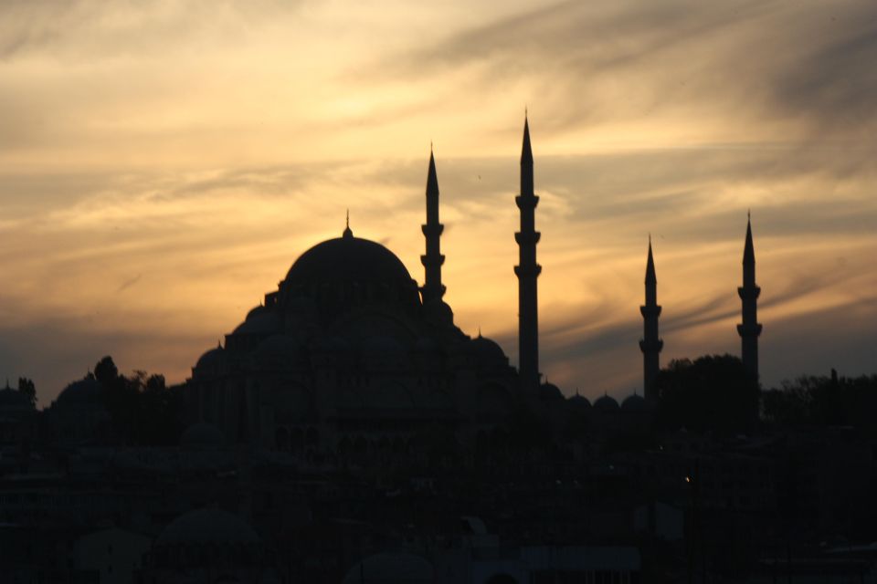 Bosphorus Cruise From Istanbul Airport - Inclusions of the Tour