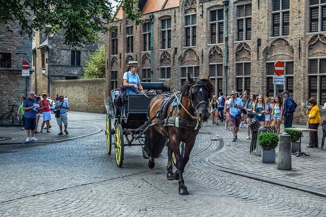 Bruges Private Sightseeing Trip From Amsterdam - Customer Feedback Summary