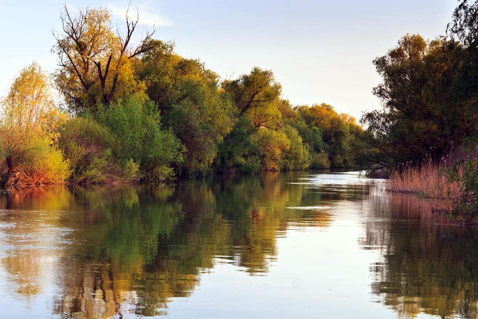 Buenos Aires: Tigre Delta Tour by Boat and Van With Snacks - Cultural and Historical Insights