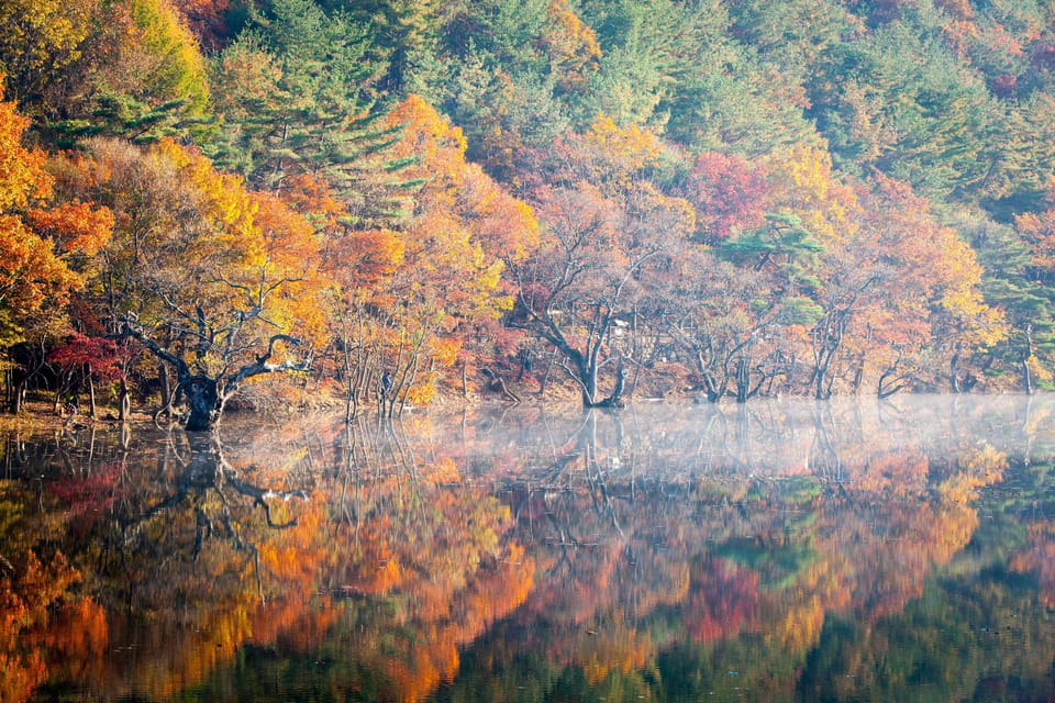 Busan: Mt. Jiri or Juwangsan National Park Fall Colors Tour - Important Information