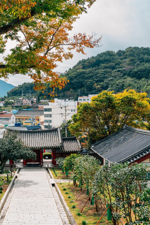 Busan to Tongyeong: Art, Markets, and Memorial Parks - Additional Information