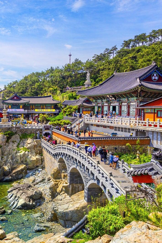 Busan Top Attractions Private Tour With Tickets - Gamcheon Culture Village