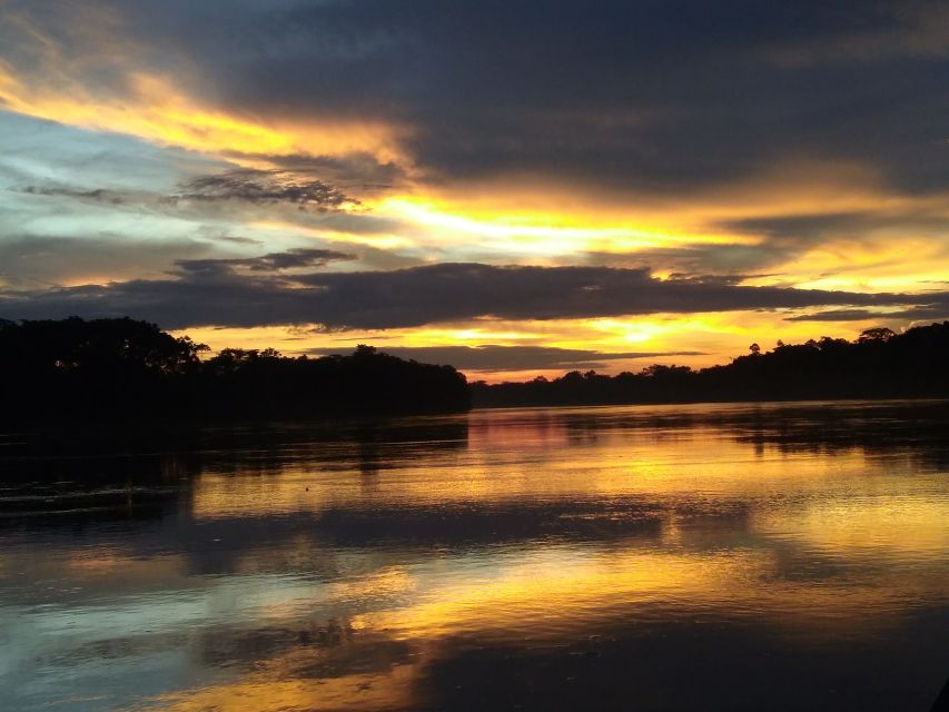 Caimans and Capybaras Search on the Tambopata River - Wildlife Spotting Opportunities