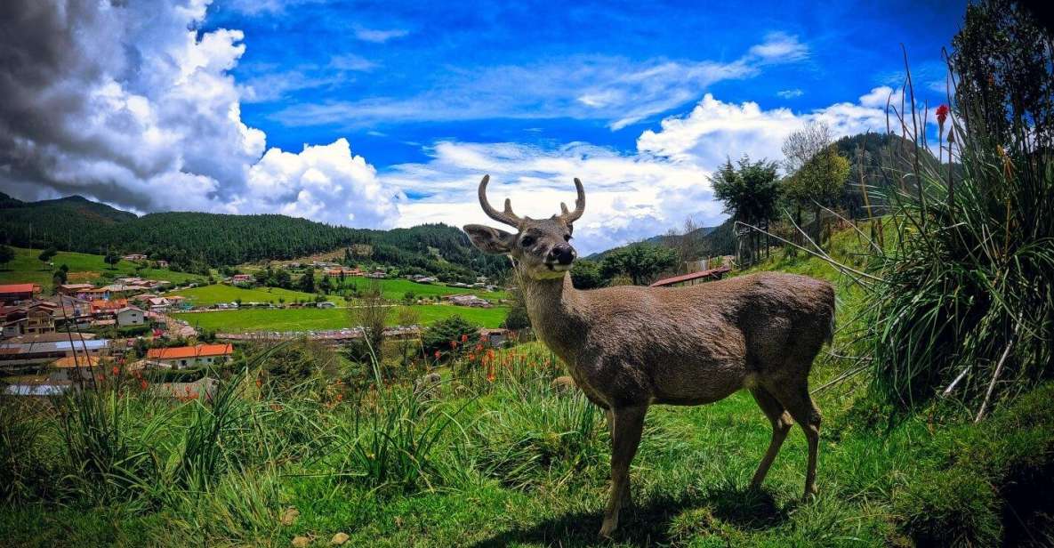 Cajamarca | Porcón Farm and Otuzco | - Tips for Visitors