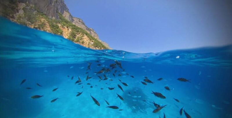 Cala Gonone: Dinghy Cruise With Aperitif - Meeting Point and Access