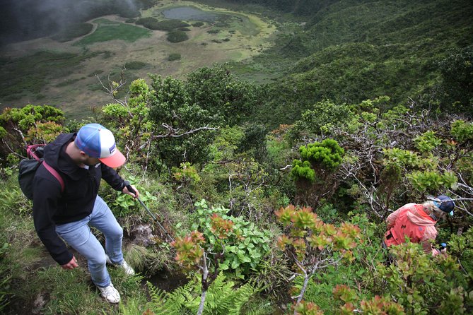 Caldeira Do Faial Descent - Private Hiking Tour - Reviews and Feedback