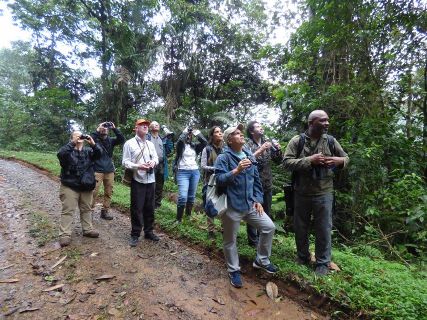 Cali: Bird Watching in The San Antonio Fog Forest - Whats Included in the Tour