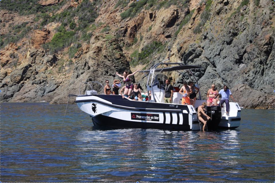 Calvi to Scandola: 4-Hour Boat Tour - Tips for Your Tour