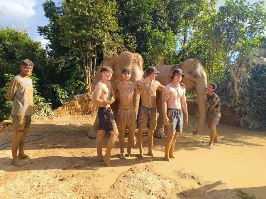 Cambodia Elephant Sanctuary and Banteay Srey Temple Tour - Participant Information