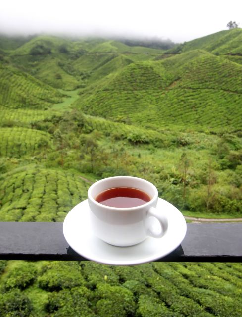 Cameron Highlands 1 Day Tour From Kuala Lumpur - Customer Reviews