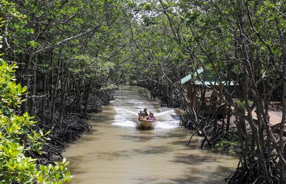 Can Gio Mangrove Biosphere Reserve 1 Day - Inclusions and Exclusions