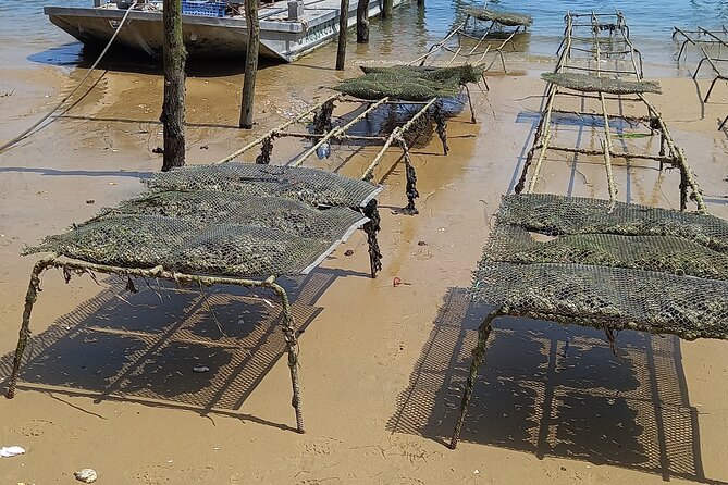 Cap-Ferret, Herbe Village With Tasting Oysters Waterfront! - Oyster Tasting Experience