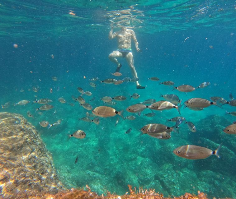 Cape Kamenjak: Guided Kayak Tours Snorkeling, Cave & Cliff - What to Bring