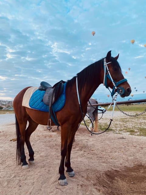 Cappadocia: Fascinating Horse Tour in Göreme Valleys - What to Bring