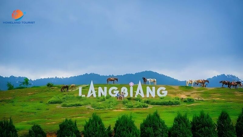 Car Rental Service in Dalat ( Private With Driver ) - Included Amenities