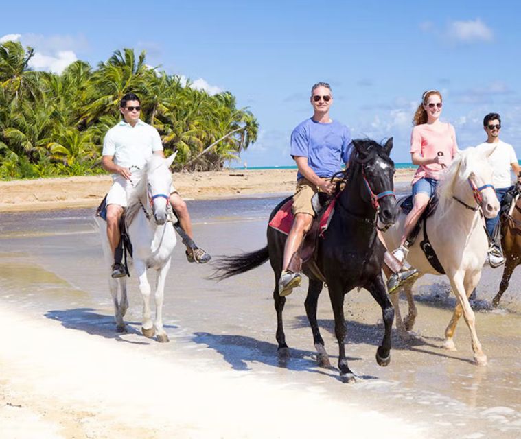 Cartagena: Horseback Riding on the Beach at Sunset - Customer Experiences and Reviews