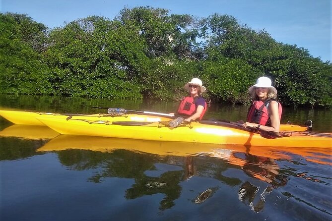 Cartagena In Kayak - Feedback and Reviews