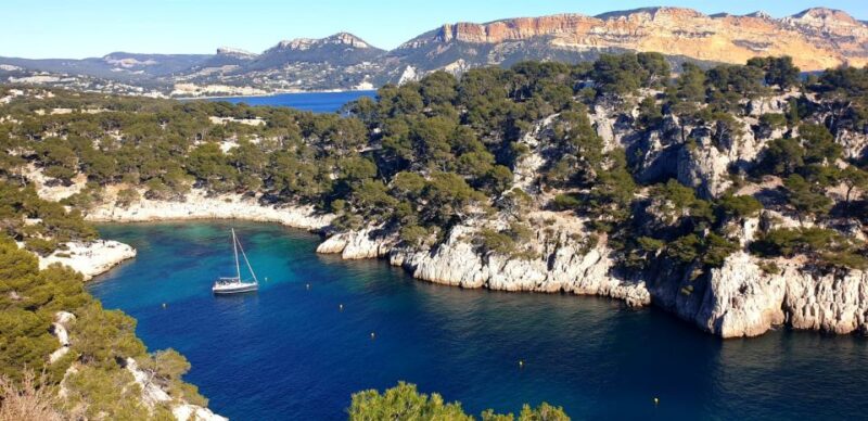 Cassis: Calanques National Park Guided Hiking Half-Day Trip - Customer Feedback