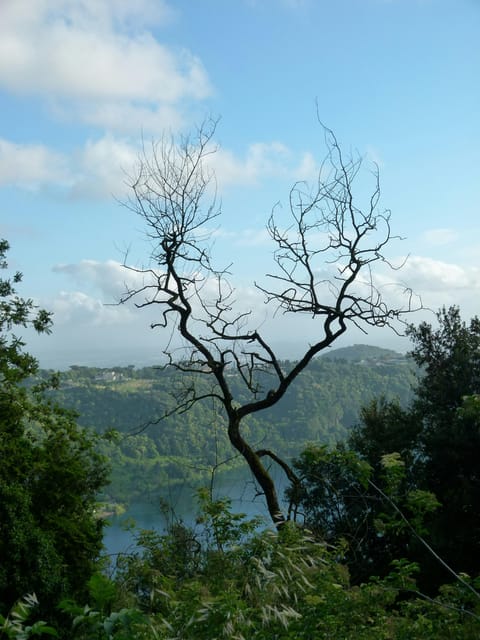 Castelli Romani: 8-Hour Guided Tour of the Main Places - Inclusions of the Tour