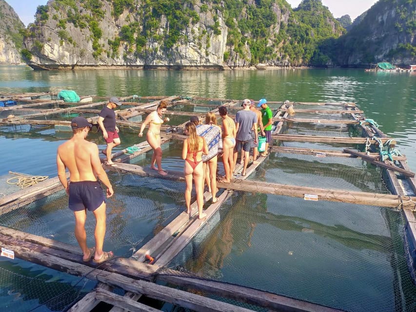 Cat Ba: 2-Day Lan Ha Bay Cruise With Plankton Excursion - Onboard Experiences