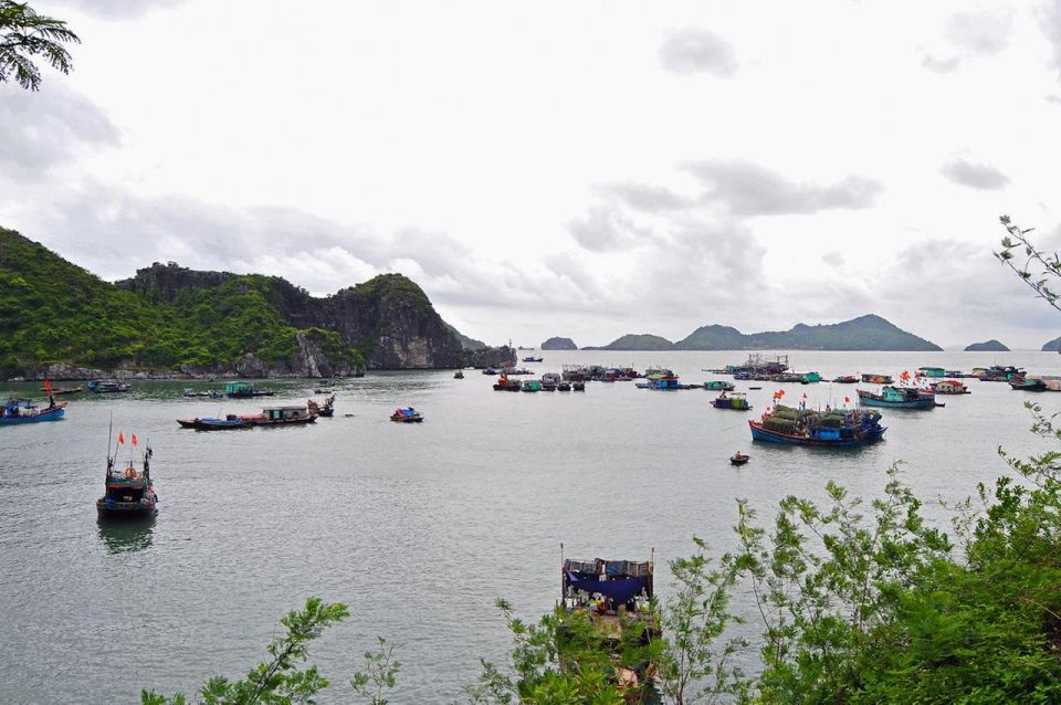 Cat Ba Island Day Trip From Ha Long City - Important Information