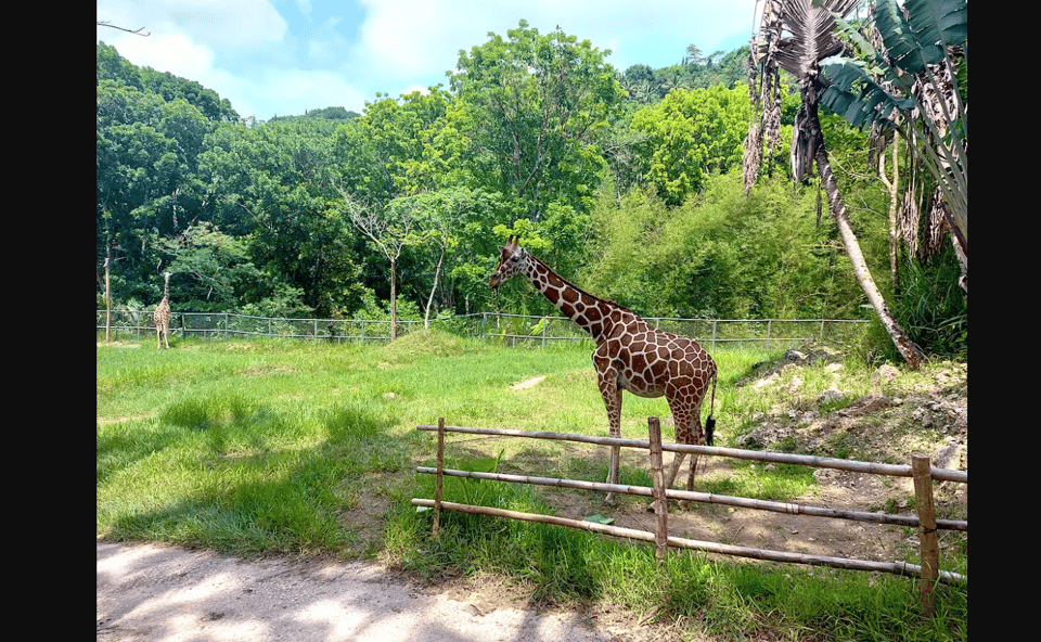 Cebu Carmen: Cebu Safari and Adventure Park - What to Bring