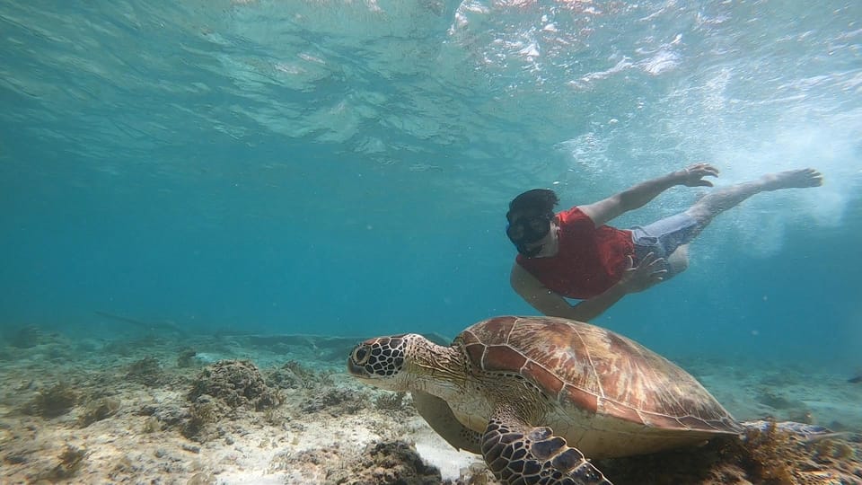 Cebu: Osmeña Peak Hike and Sardines Run Snorkel Adventure - Pickup and Drop-off Locations