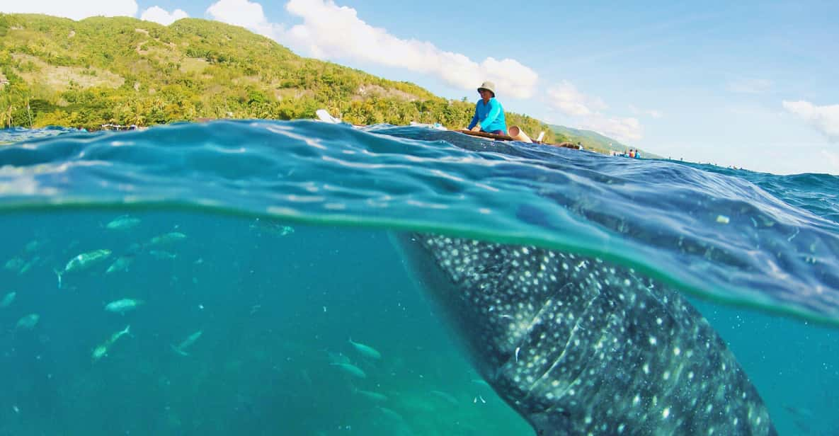 Cebu Pick-up: Whale Shark Encounter and Kawasan Canyoneering - Inclusions and Equipment