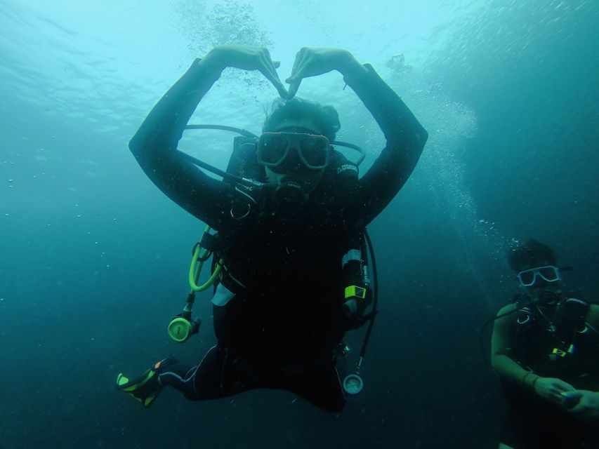 Cebu: Scuba Diving With Sardines and Pescador Island Snorkel - Customer Reviews