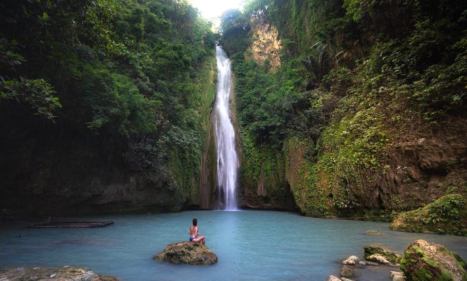 Cebu: Whale Shark Encounter &Adventure With Mantayupan Falls - Inclusions and Logistics