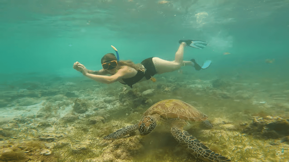 Cebu: Whale Shark Oslob and Moalboal Snorkeling Adventure - Sustainable Tourism Practices