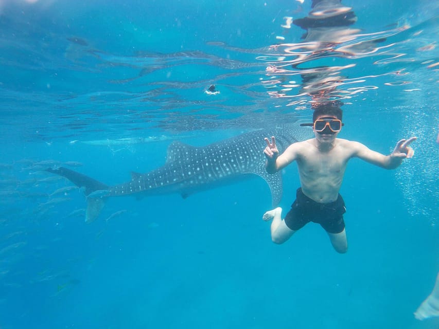 Cebu: Whale Shark, Sumilon Island, & Inambakan Falls - Inambakan Falls Adventure