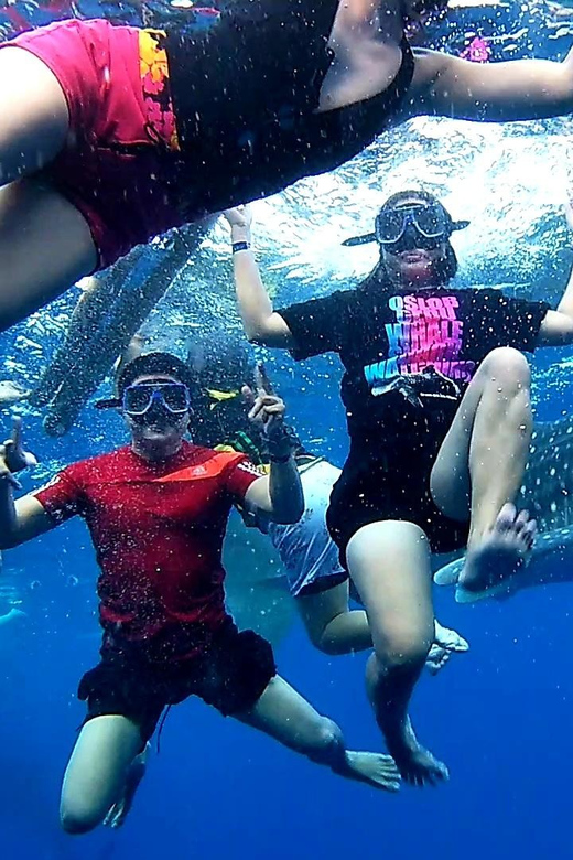 Cebu: Whale Shark Swim and Kawasan Canyoneering Group Tour - Canyoneering at Kawasan Falls