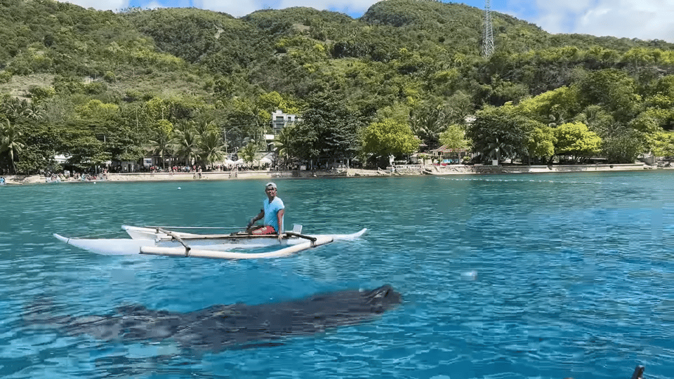 Cebu: Whale Shark Watching, Tumalog Falls & Sumilon Island - Inclusions and Amenities