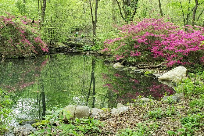 Central Park Walking Tour - Weather Considerations