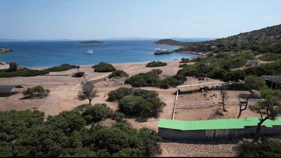 Cesme: Islands and Bays Boat Trip With BBQ Lunch - What to Bring