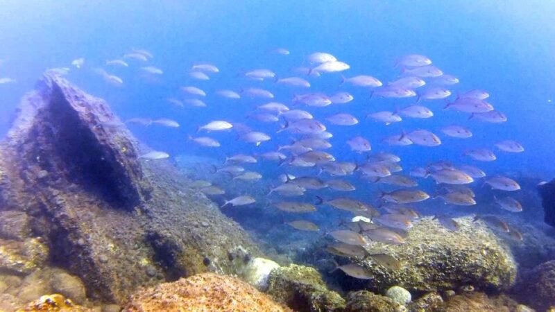 Chalkidiki: Scuba Diving for Beginners in Kassandra - Equipment and Logistics