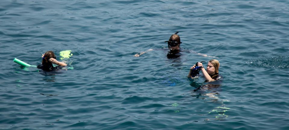 Cham Island Discovery Tour - Customer Reviews