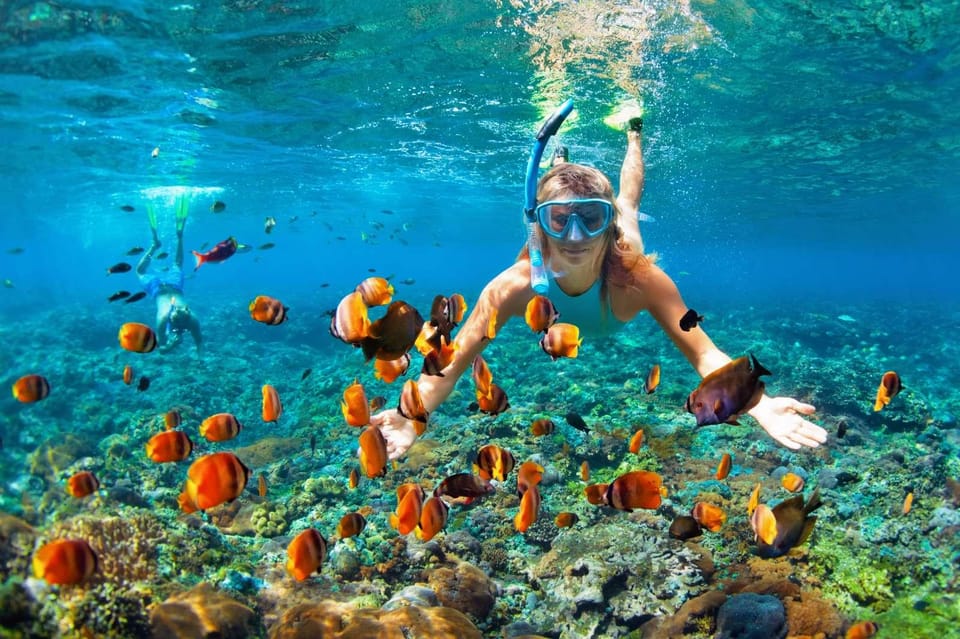 Cham Island Sightseeing & Snorkeling - Group Tour - Transportation Details