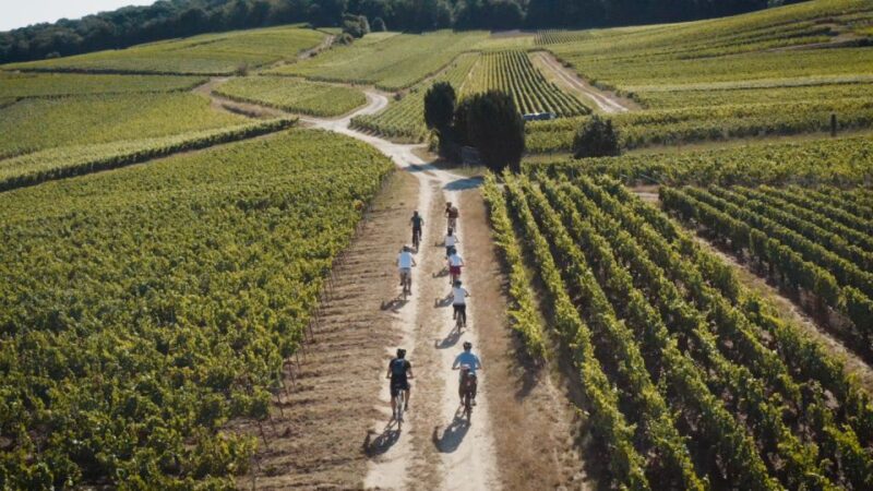 Champagne Region : Ebike Tour With a Local Guide ! - Customer Feedback and Reviews