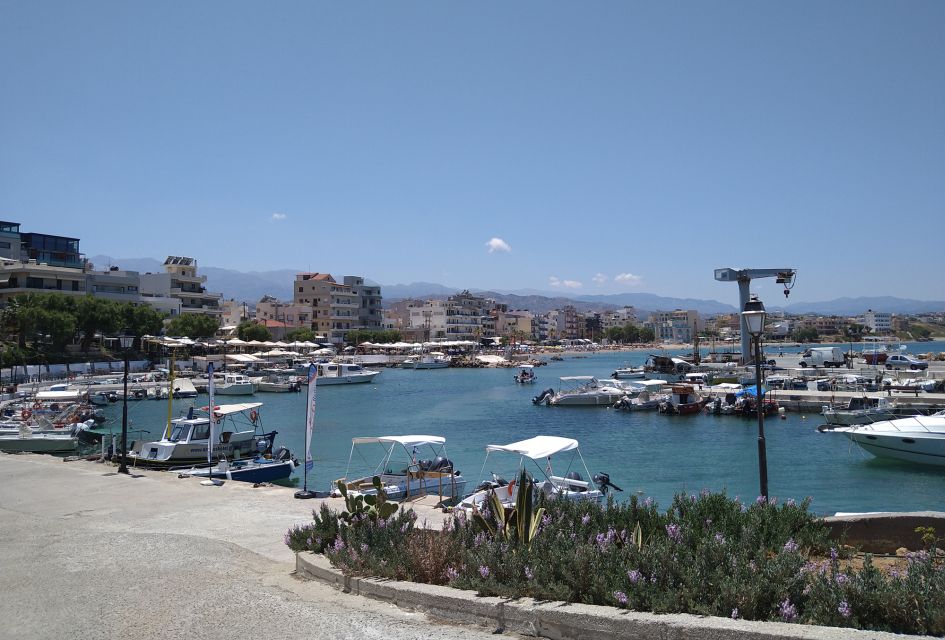 Chania: City Highlights Small Group Bike Tour - Customer Feedback